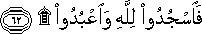 53_62.gif