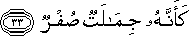77_33.gif