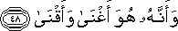 53_48.gif