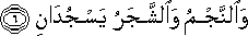 55_6.gif
