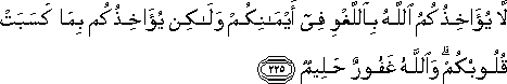 2_225.gif
