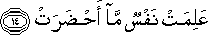 81_14.gif