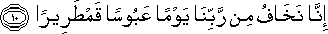76_10.gif