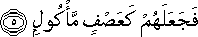 105_5.gif