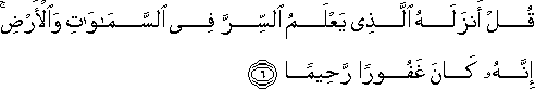 25_6.gif
