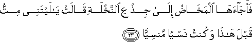 19_23.gif