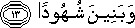74_13.gif