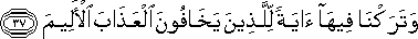 51_37.gif