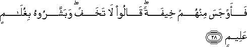 51_28.gif