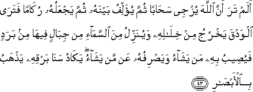 24_43.gif