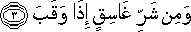 113_3.gif