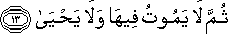 87_13.gif