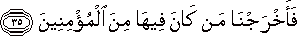 51_35.gif