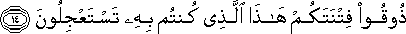 51_14.gif