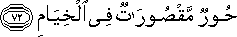55_72.gif