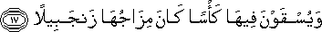 76_17.gif