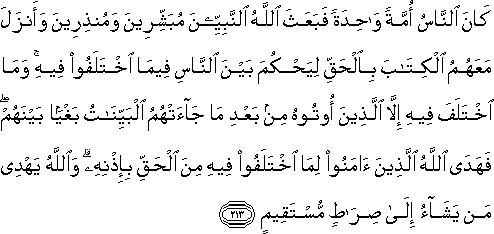 2_213.gif