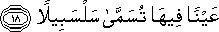 76_18.gif