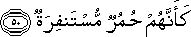 74_50.gif