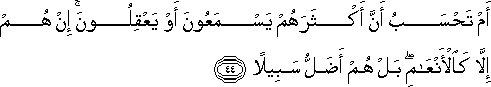25_44.gif