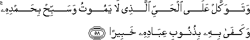 25_58.gif