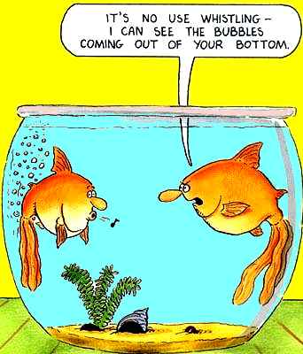 fish-fart.JPG