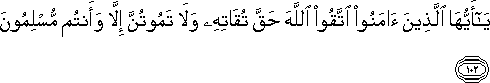 3_102.gif