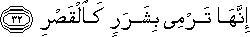 77_32.gif