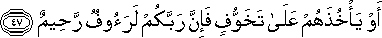 16_47.gif