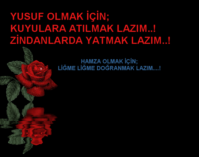 290837808441bd7e909317e733df18892e4c2f3.png
