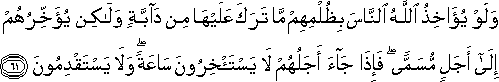 16_61.gif