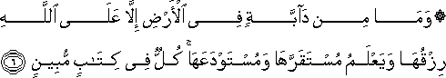 11_6.gif
