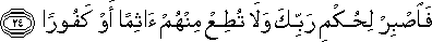 76_24.gif