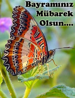 ramazan_bayrami.jpg