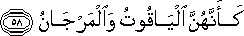 55_58.gif
