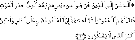 2_243.gif