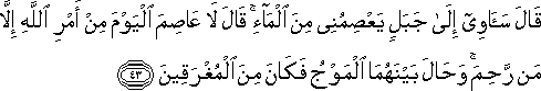 11_43.gif