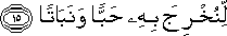 78_15.gif