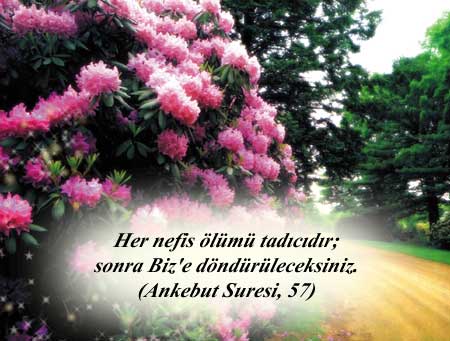 ayet4.jpg