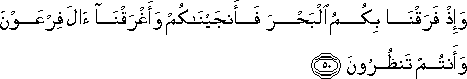 2_50.gif