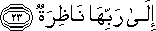 75_23.gif