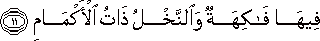 55_11.gif
