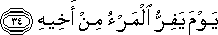 80_34.gif