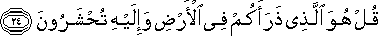 67_24.gif