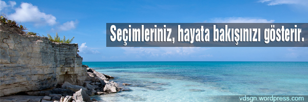 secimlerinizhayatabakc4b1sc4b1nc4b1zc4b1gc3b6sterir.jpg