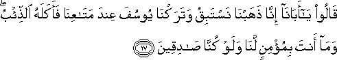 12_17.gif