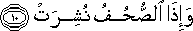 81_10.gif