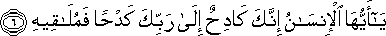84_6.gif