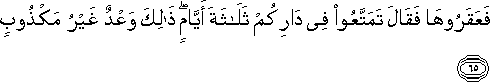 11_65.gif