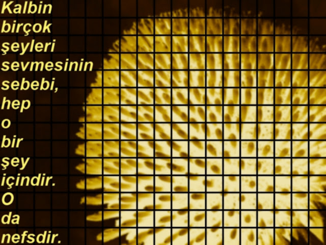 %2813%29.jpg